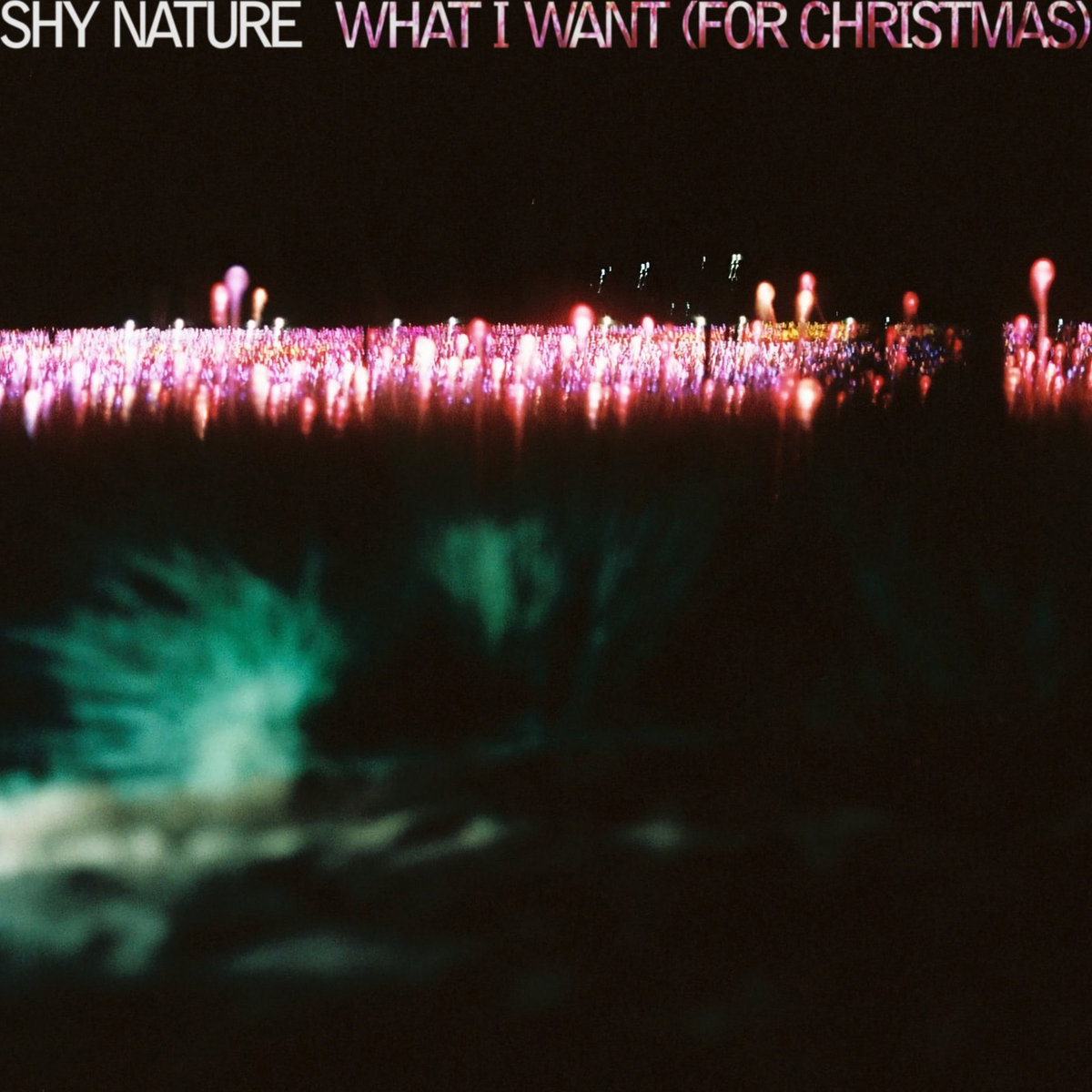 Shy Nature - What I Want (For Christmas)