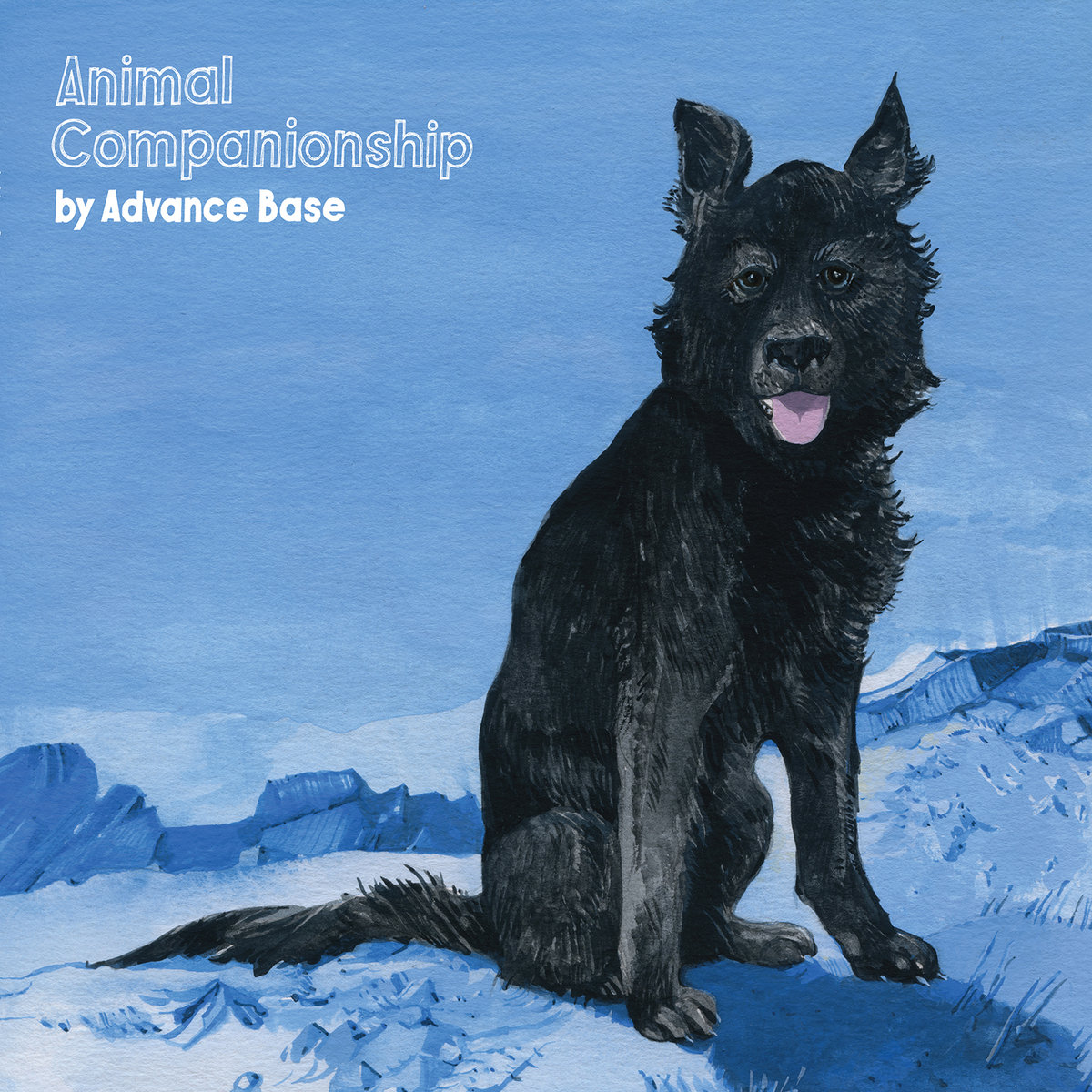Advance Base - Animal Companionship